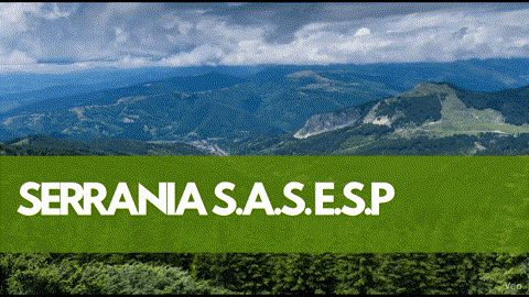 cinematic landscape animation 202511272147 cinematic landscape animation 202511272147